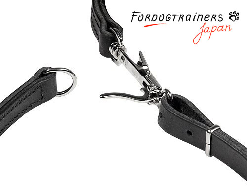 Hunting dog best sale leads